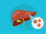 hepatitis-b-merupakan-penyakit-hati-menular-yang-disebabkan-oleh-virus-hepatitis-hbv.jpg
