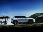 hev-toyota1.jpg