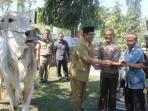 hewan-kurban-kulonprogo_20150922_202936.jpg