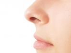 hidung-drkhourycom_20171013_064332.jpg