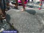 hiu-tutul_20151026_142543.jpg