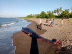 hius-paus-mati-terdampar-di-lombok-utara.jpg