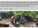 hoaks-pakan-harimau-ragunan.jpg