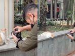 hobi-potret-kucing-liar-3.jpg