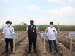 holding-perkebunan-nusantara-ptpn-iii-jos.jpg