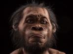 homo-naledi_20150911_171827.jpg