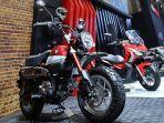honda-monyet1.jpg