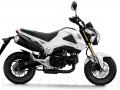 honda-msx-125-indo.jpg