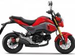 honda-msx125_20161210_123152.jpg