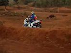 honda-pcx-150-dipaksa-garuk-tanah.jpg