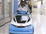 honda-shogo-jepang.jpg