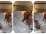 Hotman Paris Keracunan Ikan Panggang hingga Terbaring di Kamar Hotel Singapura, Bayar Rp 20 Juta 