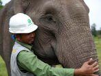 hubungan-istimewa-antara-pawang-dan-gajah-sumatera.jpg