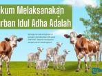hukum-melaksanakan-kurban-saat-Idul-Adha-2025-WEFR3GH4.jpg