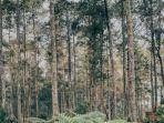 hutan-056.jpg