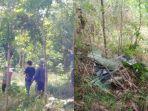hutan-angker-di-pangandaran.jpg