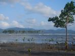 hutan-bakau-panding_20150721_224450.jpg