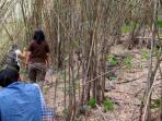 hutan-bambu_20150731_133216.jpg