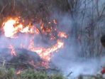 hutan-gunung-lawu-terbakar_20181009_071936.jpg