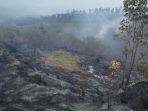 hutan-gunung-sindoro-yang-terbakar_20180914_142556.jpg