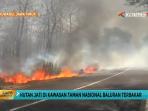 hutan-jati-di-taman-nasional-baluran-terbakar_20160915_104406.jpg