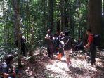 hutan-lindung-wehea-di-kutai-timur-kalimantan-timur_2.jpg