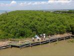 hutan-mangrove-nih.jpg