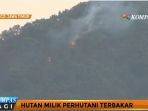 hutan-milik-perhutani-di-ponorogo-kembali-terbakar_20170713_113327.jpg