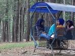 hutan-pinus-jambi_20151111_142435.jpg