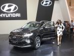 hyundai-santa-fe_20180802_214031.jpg