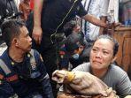 ibu-buriah-memeluk-buaya-itu-sebelum-diberikan-kepada-petugas.jpg