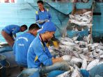 ikan-alternatif-terbaik-kebutuhan-protein_20180222_202958.jpg