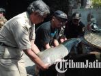 ikan-arapaima-gigas_20180703_105259.jpg
