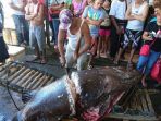 ikan-besar_20170429_192739.jpg