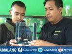ikan-cupang-jenis-super-gold-ditukar-dengan-emas-batangan.jpg