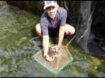 ikan-dewa1.jpg