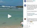 ikan-hiu-berkerumun-menepi-di-bibir-pantai-di-nusa-dua-bali.jpg