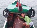 ikan-kerapu-raksasa_20180830_004606.jpg