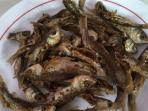 ikan-lambak-goreng_20151216_191201.jpg