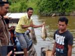 ikan-mati-sungai-tercemar.jpg