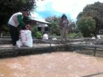 ikan-mati_20160410_000424.jpg