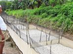 ikan-mati_20170222_121416.jpg