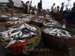 ikan-nelayan_20150730_171423.jpg