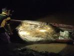 ikan-pari-mabuk.jpg