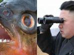 ikan-piranha-dan-kim-jong-un.jpg
