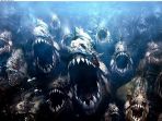 ikan-piranha_20171108_181616.jpg