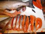 ikan-salmon-besar.jpg