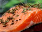 ikan-salmon-contoh.jpg