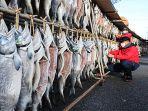 ikan-salmon-dikeringkan-di-toyama.jpg