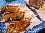 ikan-segar_20150709_072722.jpg